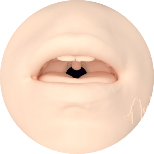 Nash - Otvor masturbátoru